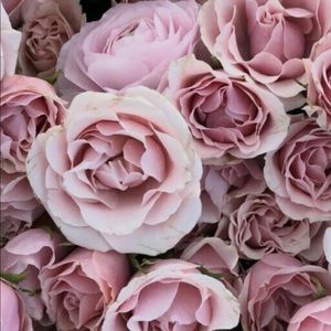 Meet your Posher, Oksana